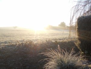 A glorious last day of 2015 in Necton. Let's hope New Year's Eve 2016 is similar. 